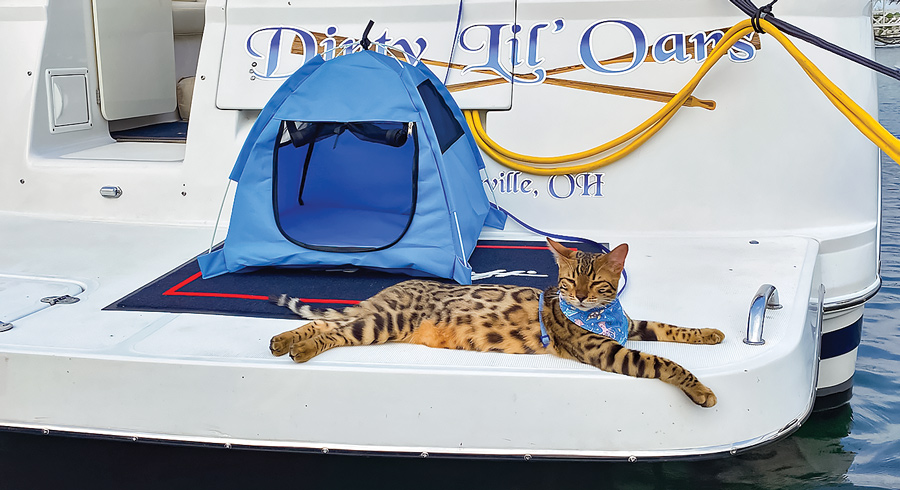 leopard cat sitting on the edge of a boat